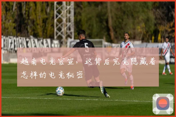 越南电竞官宣，这背后究竟隐藏着怎样的电竞秘密