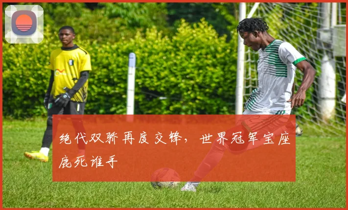绝代双骄再度交锋，世界冠军宝座鹿死谁手
