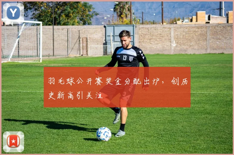 羽毛球公开赛奖金分配出炉，创历史新高引关注